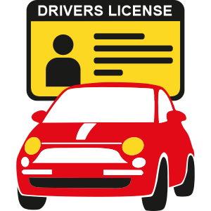 Magazi Disaled Driving Drivers Icon Magazi Disaled Driving Icon